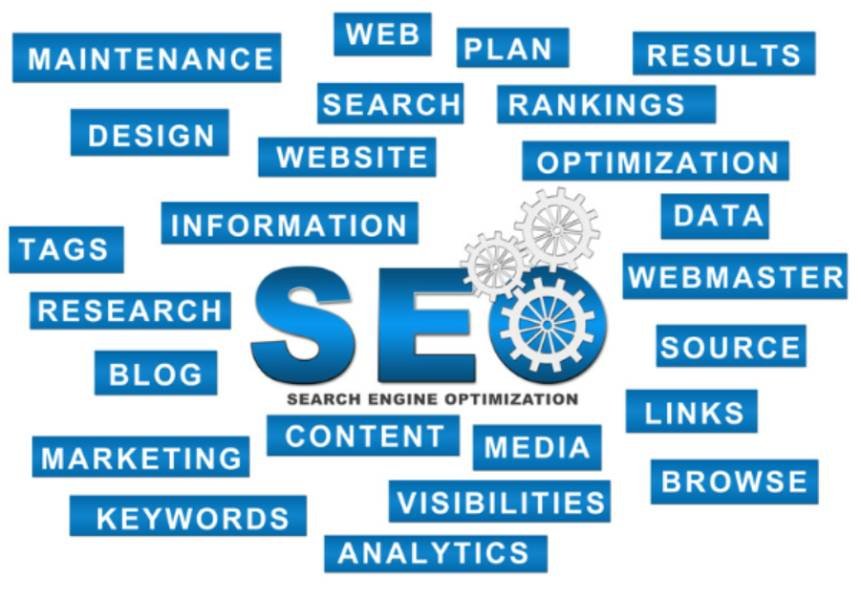 1 Identify the Searcher’s Immediate Goal
